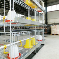 Cage d'élevage de poussins à 3/4 niveaux avec bande de fumier, pour poulets de la poussée à l'adulcoration, vente directe usine