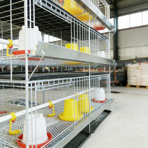 Cage d'élevage de poussins à 3/4 niveaux avec bande de fumier, pour poulets de la poussée à l'adulcoration, vente directe <span class=keywords><strong>usine</strong></span> - Product Image 6