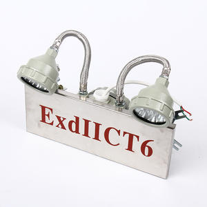 Fabbrica ExdIICT6 a parete luce di emergenza a doppia testa a prova di esplosione con nichel cadmio batteria per fabbrica di fuoco di uscita - Product Image 2