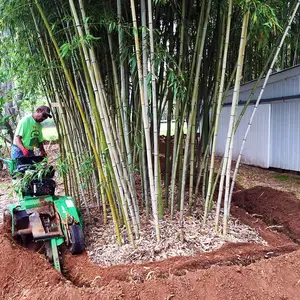 0.5mm 1.0mm 1.5mm 2.0mm en iyi fiyat ASTM hdpe geomembran plastik bambu ağacı kök bariyer
