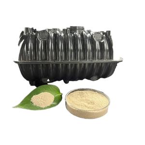 Agent nettoyant antibactérien et anaérobique, pour le nettoyage des fuites, 10 pièces - Product Image 1