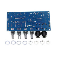 Module d'amplification de microphone pour karaoké XH-M173 avec réverbération M173