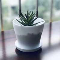 Pot de fleurs en plastique avec soucoupe, décoratif, pour serre domestique et présentation sur bureau, fournisseur chinois