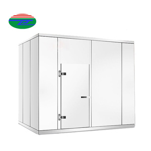 Cool Room Blast Freezer Walk in Freezer Deep Freezer Cold Storage Room for Food Storage