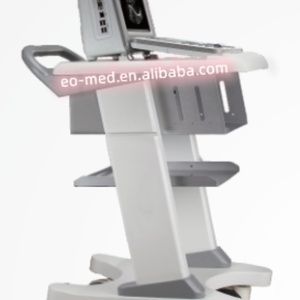 Système d'échographie diagnostique noir et blanc pour hôpitaux, usage humain, obstétrique et gynécologie, transducteur ultrasonore BW21B - Product Image 4