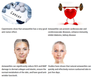 Klife CAS 472-61-7 Haematococcus pluvialis astaxanthin Oil 5%-10% HPLC Test - Product Image 3