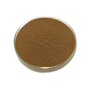Extracto de Achicoria 10:1, Polvo de Achicoria Totalmente Soluble en Agua, Polvo de Achicoria Secado por Aspersión, Polvo Concentrado, Descuentos por Volumen - Product Image 1
