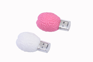 Gitra 대량 가격 PVC 두뇌 모양 Usb 스틱 플래시 메모리 Usb 플래시 드라이브 1GB 2GB 4GB 16GB 로고 - Product Image 4