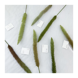 <span class=keywords><strong>Club</strong></span> de cola de lobo para boda y decoración de eventos navideños Arreglo floral con elegantes flores rosas - Product Image 3