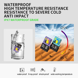 Échantillons gratuits Puce Taïwan Haute Vitesse A1 U3 4 Go 8 Go 16 Go 64 Go 128 Go Mini Carte TF Capacité réelle 32 Go 256 Go Carte Mémoire <span class=keywords><strong>Micro</strong></span> TF - Product Image 5