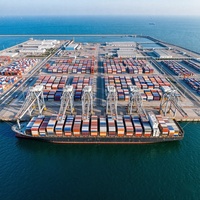 Tianjin vers Buenos Aires Argentine LCL DDP Consolidation de fret maritime Dédouanement double Agent de fret