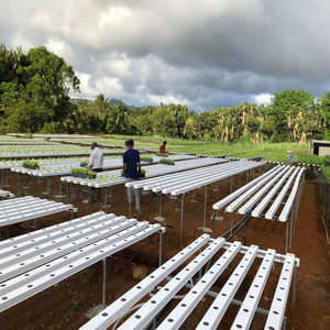 Sistema Idroponico Verticale NFT per Serre Agricole Interne ed Esterne per Coltivatori Commerciali di Lattuga - Product Image 1