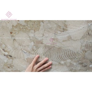 Kunis Brèche Dalles <span class=keywords><strong>de</strong></span> Marbre pour Front <span class=keywords><strong>de</strong></span> Mer Villa sur le Toit Salons Patio Planchers Soleil Caractéristique Murs Décor À La Maison <span class=keywords><strong>Pierre</strong></span> <span class=keywords><strong>Naturelle</strong></span> - Product Image 3