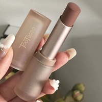 L'air est brumeux, velours, rouge à lèvres, nu, cannelle, argile à lèvres, glaçure à lèvres, mat, uni, blanc, non collant, facile à colorer