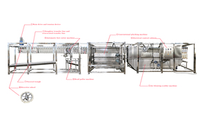 Máquina de Aturdimiento por <span class=keywords><strong>Agua</strong></span> para Aves de Corral, Facilita el Sacrificio en la Línea de Procesamiento - Product Image 3