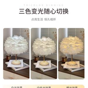 Lampe de table en céramique à plumes de luxe pour les chambres de filles, style romantique et confortable, alimentation électrique DC, style classique, lampe de chevet, cadeau d'hôtel - Product Image 3