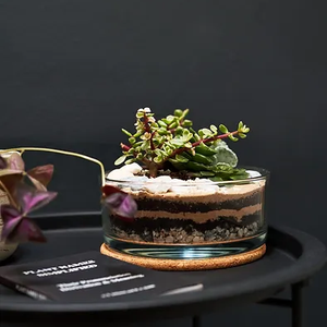 OEM bocal <span class=keywords><strong>en</strong></span> <span class=keywords><strong>verre</strong></span> de forme personnalisée pour terrarium design moderne décoration de la maison plantes succulentes vase <span class=keywords><strong>suspendu</strong></span> kits de terrarium - Product Image 4