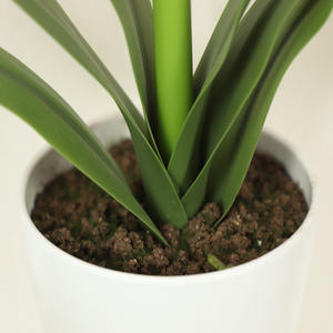 Bushyจําลองบ้านผ้าไหมนุ่มFauxดอกไม้การถ่ายภาพPropsตกแต่งห้องนั่งเล่นปลอม<span class=keywords><strong>Clivia</strong></span> <span class=keywords><strong>Miniata</strong></span>-149 - Product Image 6