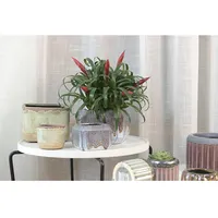 Vaso da fiori rustico in ceramica quadrata con vaso da bonsai smaltato rettangolo personalizzabile all'ingrosso