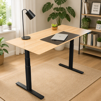 Table de bureau électrique réglable en bambou de bonne qualité, bureau debout, plateau de bureau relevable Ecomax
