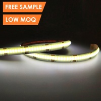 Bande LED CCT double blanc réglable, blanc réglable COB 24V 12V IP20/IP66, bandes lumineuses pour éclairage DC12V 5m MOQ