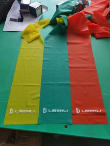 Fasce di Resistenza per Fitness e Riabilitazione 2026: Nuove, Leggere, Personalizzabili, Prezzo di Fabbrica - Product Image 2