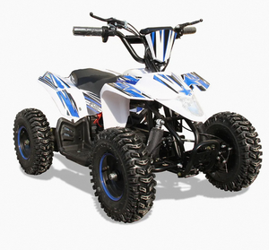 Quad VTT Enfant Industriel en Plastique DIY OEM/ODM 1300W 48V Antichoc 3ème Vitesse Tout-Terrain avec Vitesse Maximale de 47 Km/H - Product Image 6