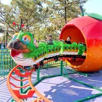 Remise de haute qualité manèges de parc d'attractions Wacky Worm Track Train Caterpillar Mini Roller Coaster à vendre