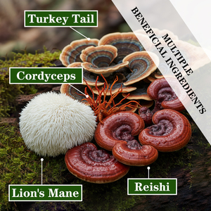 Hot Sale Mushroom Gummies With Total Carbohydrate Improve Memory Boosts Immunity Focus Concentration Dietary Energy Gummies - Product Image 5