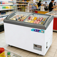 Vitrine Réfrigérée Commerciale à Refroidissement Direct avec Porte Coulissante en Verre, Congélateur Coffre à Congélation Rapide pour Supermarchés
