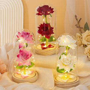 Rose Stabilizzate Sotto Cupola di Vetro con Luci LED Colorate, Rosa Eterna in Cupola di Vetro per la Festa della Mamma e Matrimoni - Product Image 5