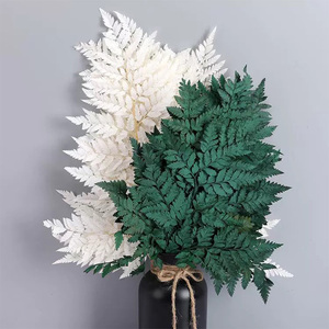 Dedcorative Flowers and Plants Preserved <strong>White</strong> <strong>Fern</strong> Leaves Natural Real Arachniodes Leather Leaf <strong>Fern</strong> for Home Wedding Decor