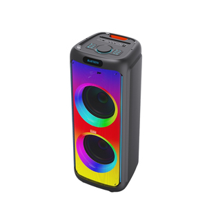 Altavoz de Fiesta de Gran Potencia con Sonido DJ, Altavoz Doble de 12 Pulgadas y 1000w, Altavoces para Karaoke con Micrófono, Luz LED RGB con Efecto de Llama - Product Image 1