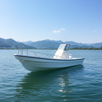 Bateau de pêche Grandsea de 26 pieds en fibre de verre avec moteur hors-bord et console centrale à vendre