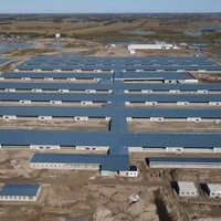 Structure en acier préfabriquée à grande portée pour abri de bétail, avec cadre galvanisé isolé, pour bâtiment d'élevage de vaches en ferme.
