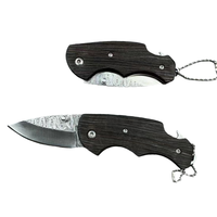 Klein En Lichtgewicht Mini Zakmes Outdoor Camping Edc Fruitmes Camping Vouwmes