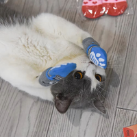 Chaussures pour chiens et animaux de compagnie en tissu bouclé doux et chaud avec semelle en silicone imperméable, design personnalisé, pour femmes