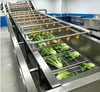 Bellenwasmachine Ozon Desinfectietank voor Sterilisatie van Fruit en Groenten