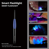 Lampe de poche dentaire intelligente, lumière d'inspection buccale, détecteur d'examen des dents et des parodonties pour les soins dentaires