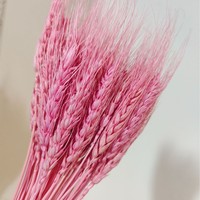 Bouquet de fleurs de blé séchées naturelles préservées pour la décoration de la maison et de mariage - Style bohème
