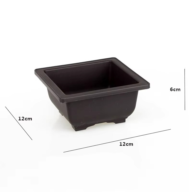 12cm