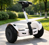Düşük Fiyat Garantili Kaliteli Kendinden Dengeleyici Scooter Hoverboard Smart 10 Almacen Meksika 10 İnç İki Tekerlekli Hoverboard 18 km