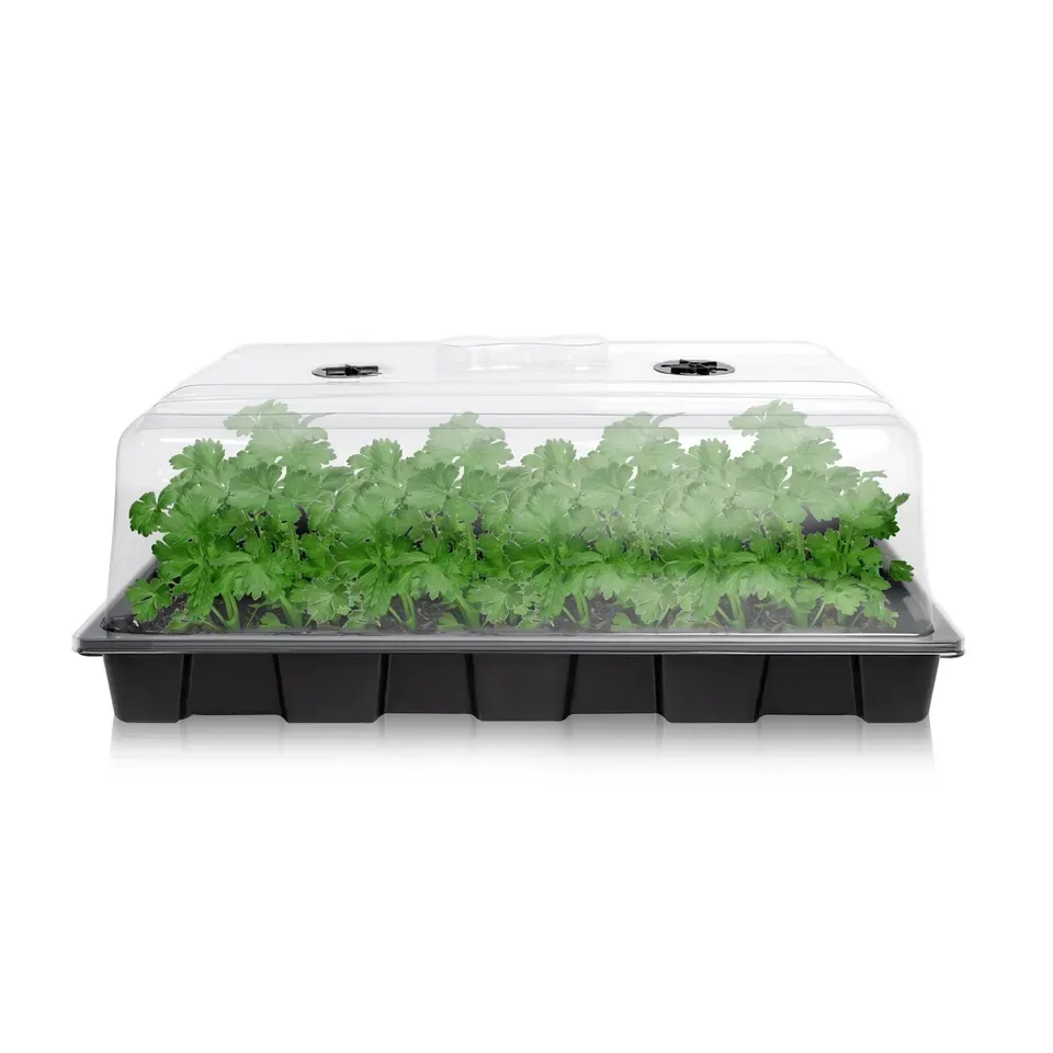 Boîte de semis en plastique PET transparent de haute qualité avec trou