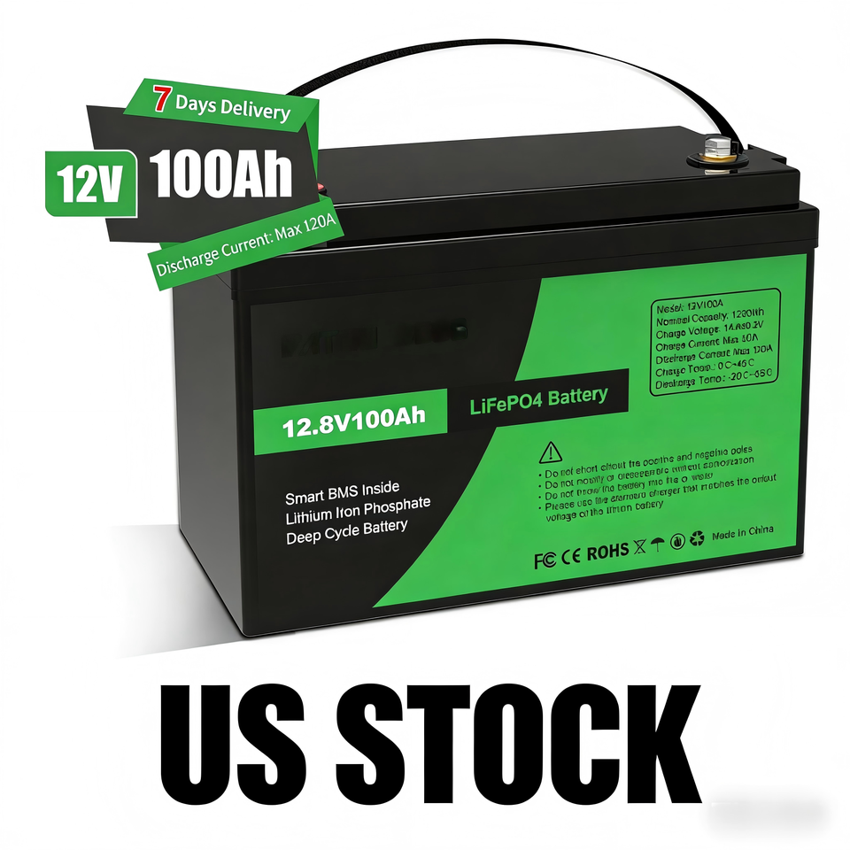 DATOU BOSS 12V 100Ah Rechargeable LiFePO4 Battery Pack Maintenance Free ...