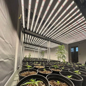 DLC Approved 2.9umol/J Höchste Wirksamkeit 1000W Höher als Gavita 1700 pro E und Fluence Led Grow Light ersetzen HP 2000W.