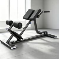 Banc d'extension dorsale réglable, chaise romaine, gain de place, entraîneur de posture lombaire, équipement de fitness à domicile