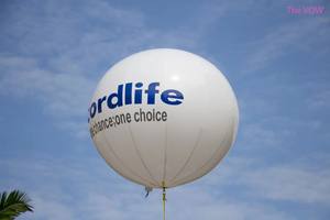 Produits gonflables publicitaires Ballon à l'hélium extérieur aérien Ballon arc-en-ciel gonflable géant personnalisé pour la décoration - Product Image 4