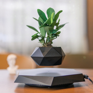 Magnetic Levitating Flower Pot Levitating Plant Pot for Plants Levitating Bonsai Planter Electric Decoration Plastic ABS