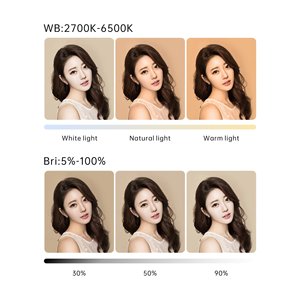 DENGWEI - Luz de Relleno Portátil Profesional de 300 W para Grabación de Video, Accesorios de Estudio Fotográfico para Grabación de Películas y Fotografía de Estudio - Product Image 6