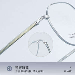 Montures de lunettes en acier allié TIT, ovales, monture complète, 3066, légères, unisexes, verres en résine, origine Danyang - Product Image 3